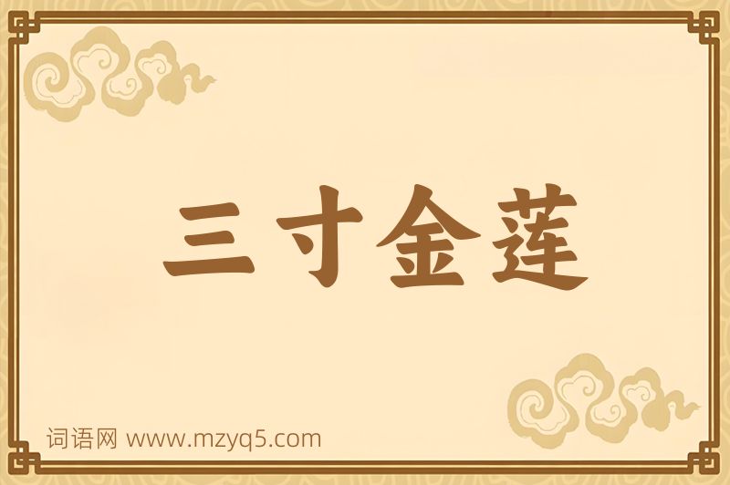成语三寸金莲图片