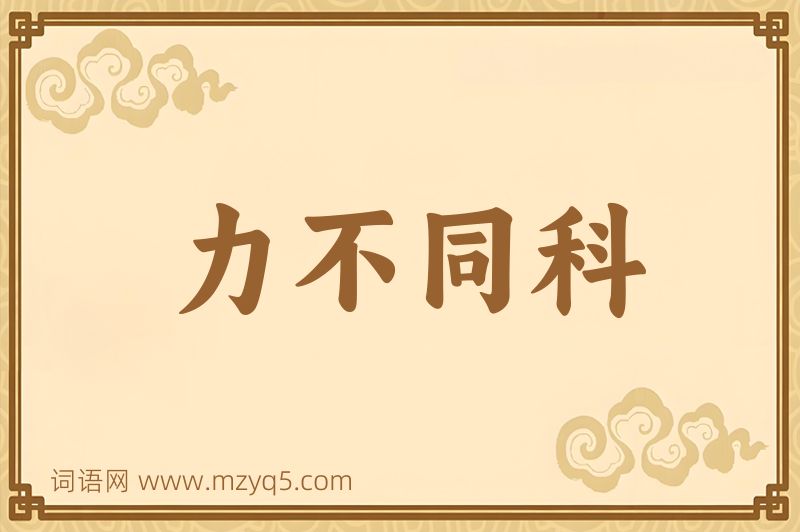 成语力不同科图片
