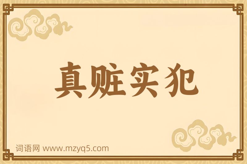 成语真赃实犯图片