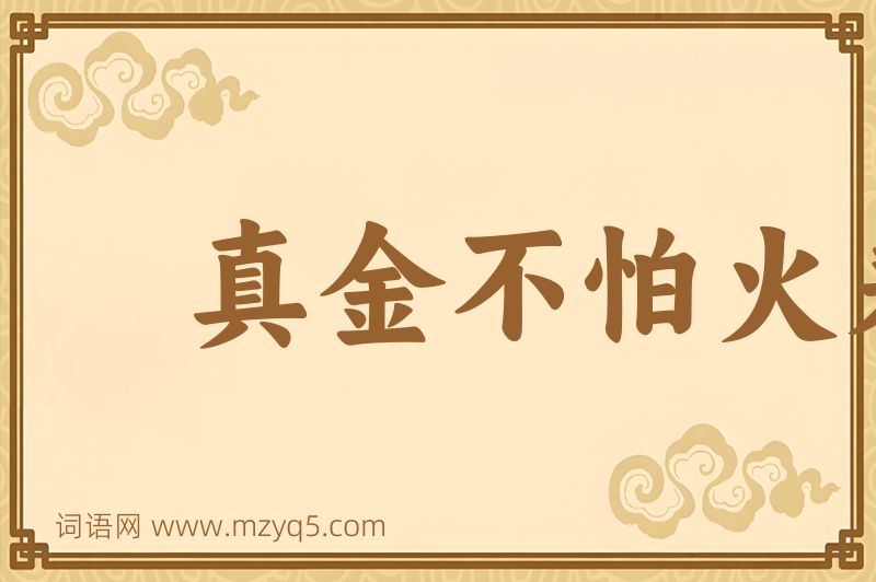 成语真金不怕火来烧图片