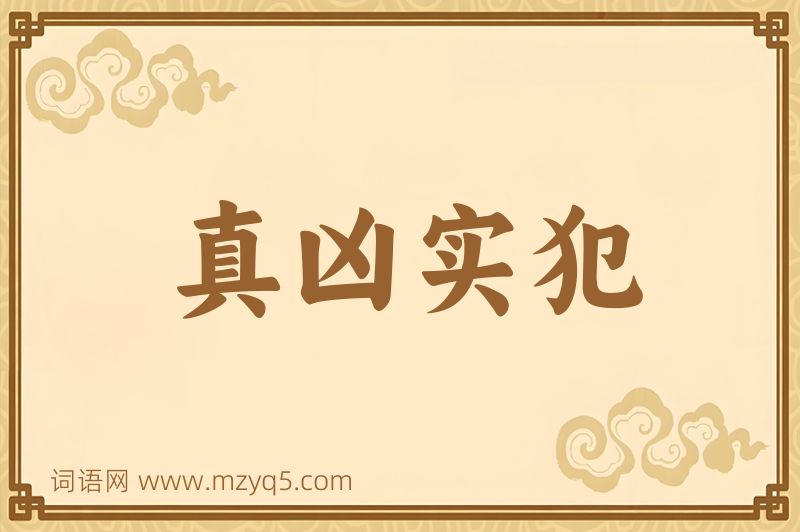 成语真凶实犯图片