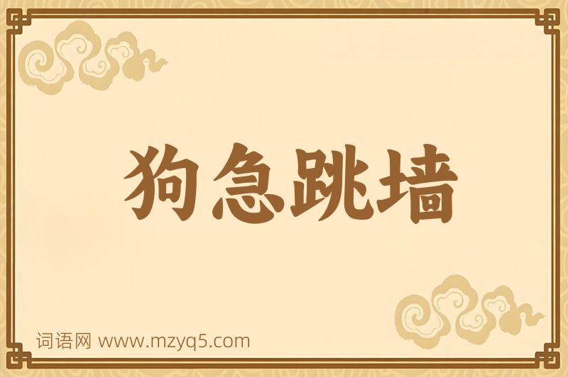 成语狗急跳墙图片