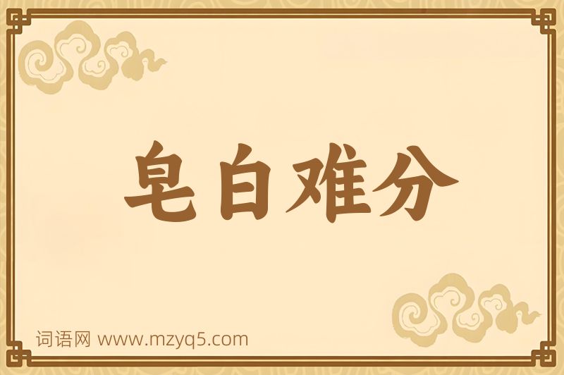 成语皂白难分图片