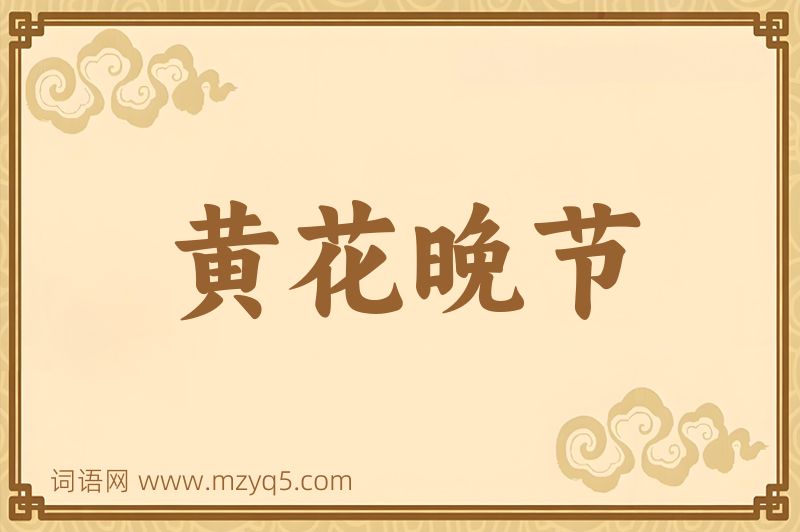 成语黄花晚节图片