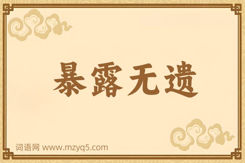 成语暴露无遗图片