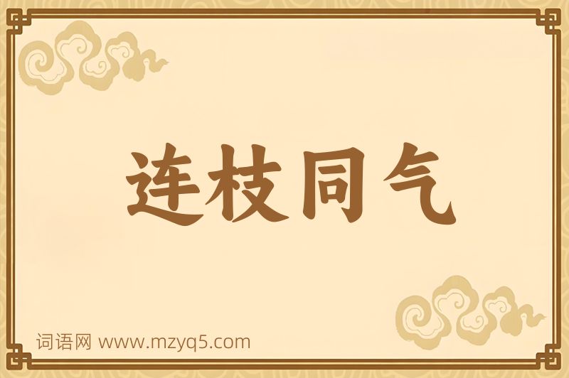 成语连枝同气图片