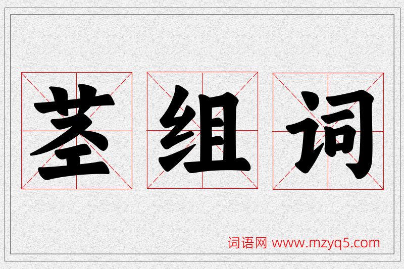 茎字的组词