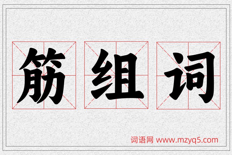 筋字的组词