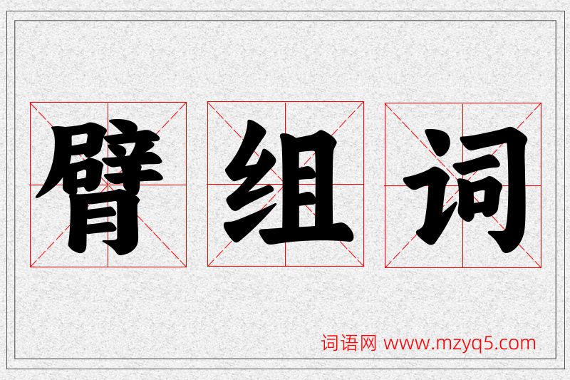 臂字的组词