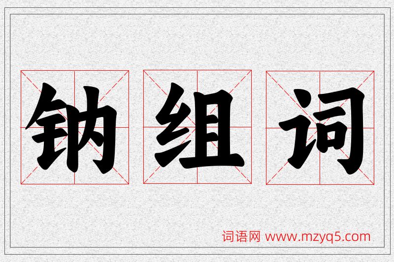 钠字的组词