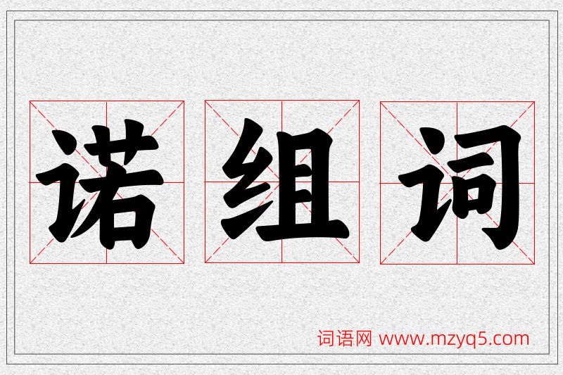 诺字的组词