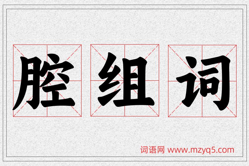 腔字的组词