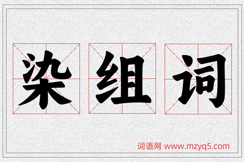 染字的组词