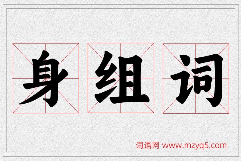 身字的组词