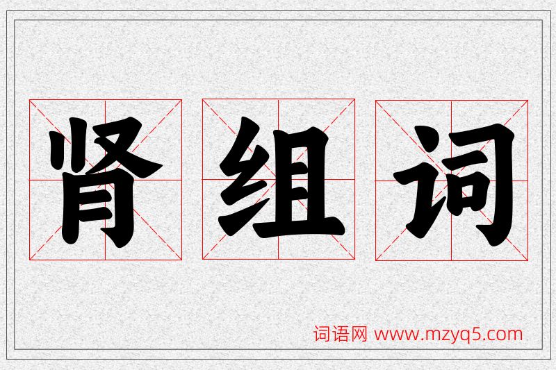 肾字的组词