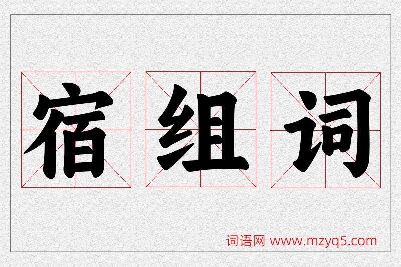 宿字的组词