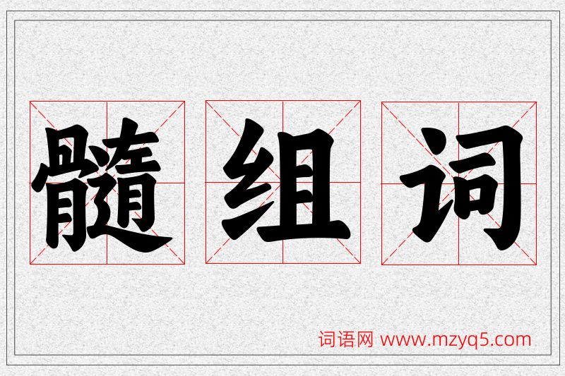 髓字的组词