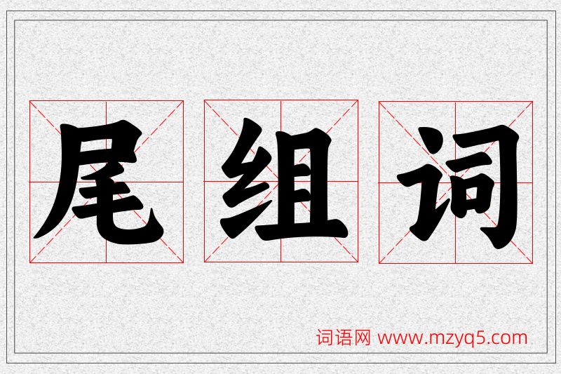 尾字的组词