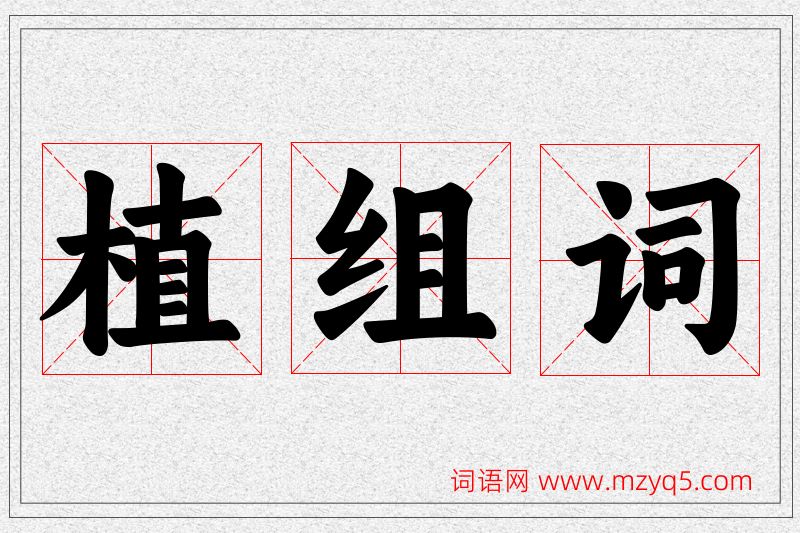 植字的组词