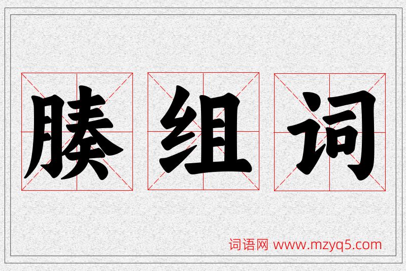腠字的组词