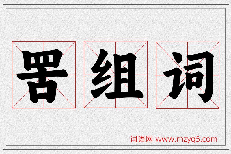 罟字的组词