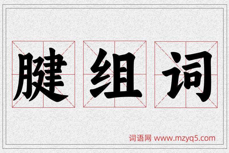 腱字的组词