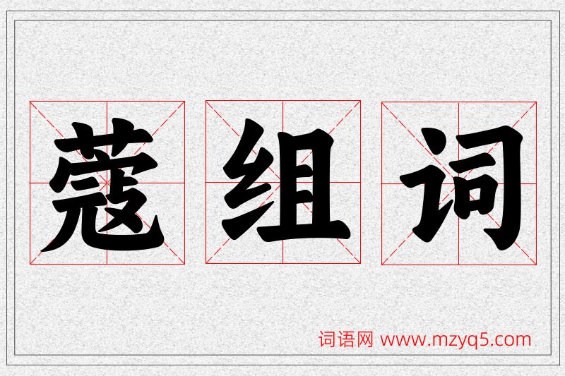 蔻字的组词