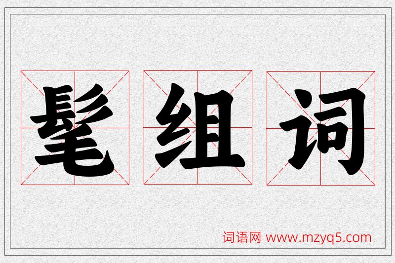 髦字的组词