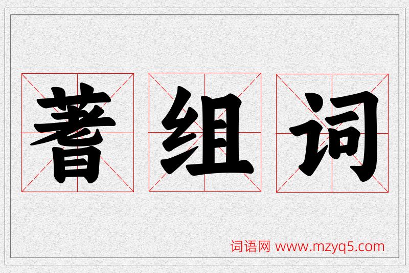 蓍字的组词