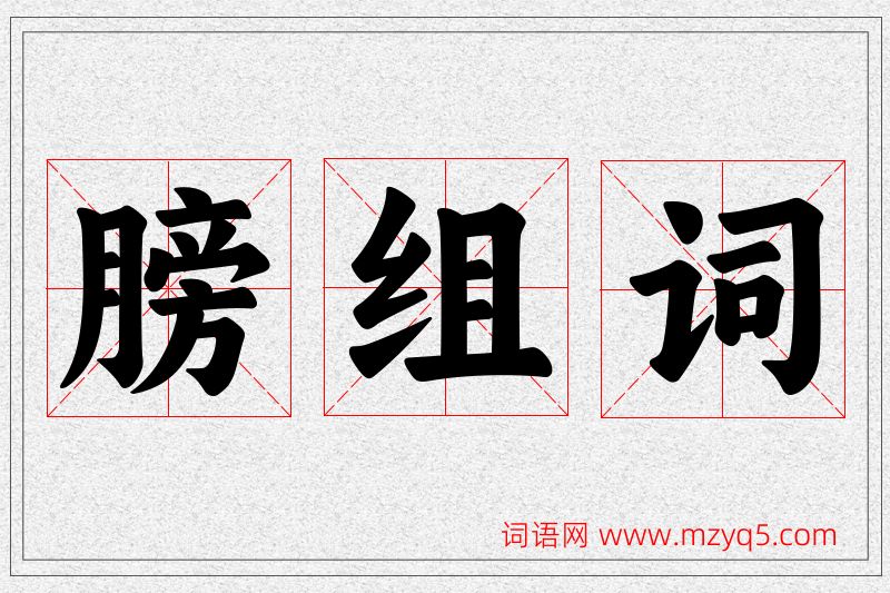膀字的组词
