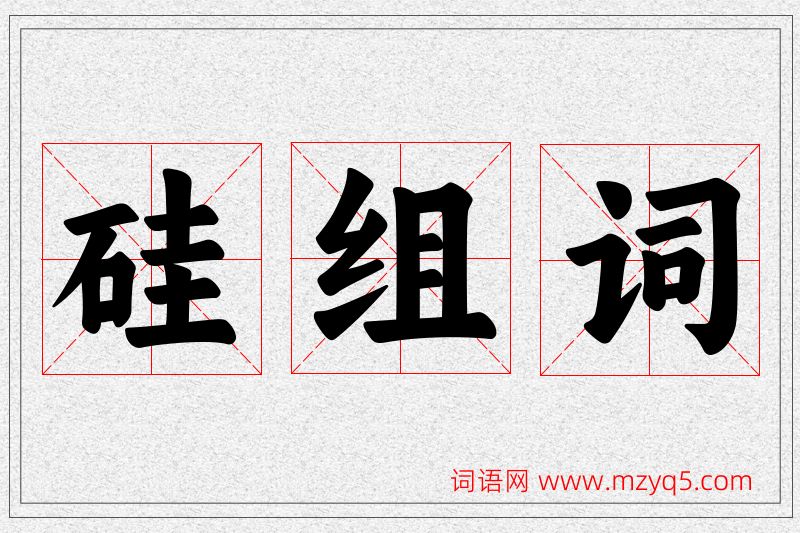 硅字的组词